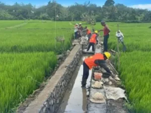 Hadapi Kemarau Panjang, 78 Jaringan Irigasi Baru PU Siap Amankan Pangan Bali 2026