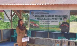 Petani Dharmasraya Dapat Bantuan Rp1,9 Miliar, 95 Ton Benih Padi dan Traktor Mulai Disalurkan