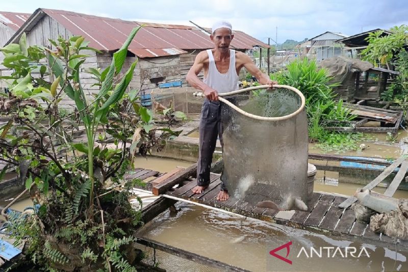 Sertifikasi bagi Pembudi Daya, Pemprov Kaltim Kawal Mutu ...