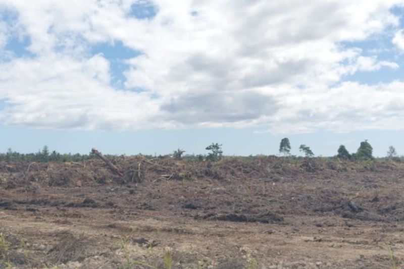 Balai Besar Penerapan Modernisasi Pertanian Maluku Pantau Program Cetak Sawah Rakyat di Enam Desa untuk Percepat Swasembada Pangan