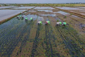 BMKG Imbau Warga Pesisir NTB Waspadai Potensi Banjir Rob