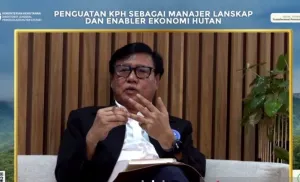Guru Besar IPB Ungkap Tiga Strategi Perkuat KPH untuk Cegah Deforestasi dan Pembalakan Liar