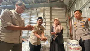 IPB Kembangkan Pakan Ternak Hijauan Bernilai Ekonomis di Garut