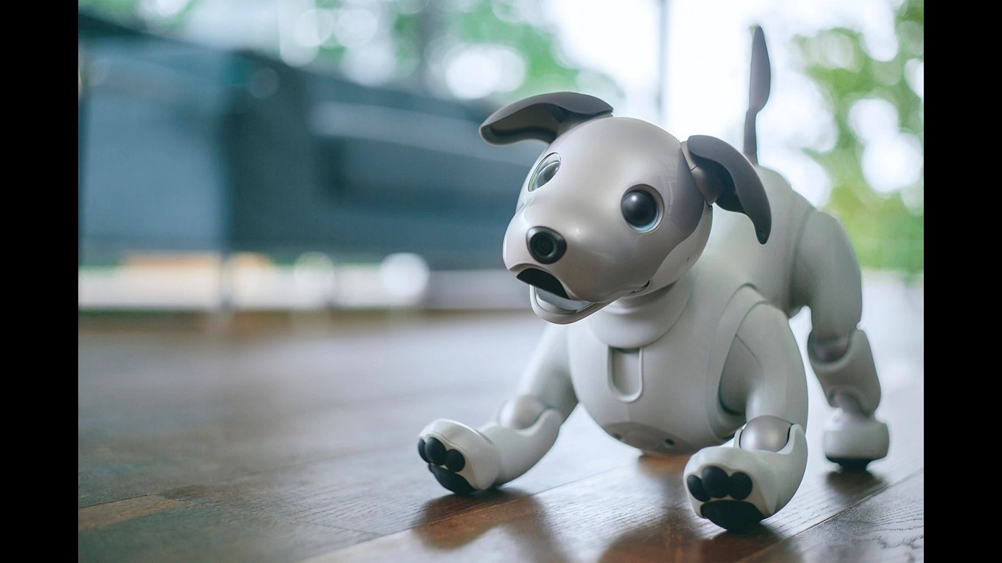 Robot Anjing Aibo yang Meng...