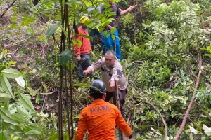 Tim SAR Cari Nenek 68 Tahun Hilang di Hutan