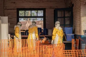 WHO Sebut Risiko Global Ebola Tetap Rendah setelah Kasus Pertama di Prancis