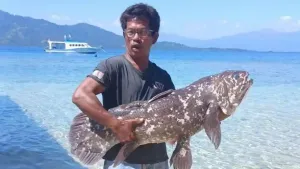 Balai TN Bunaken Tangani Penemuan Ikan Purba Coelacanth di Pulau Siladen