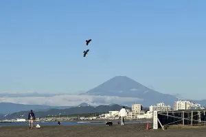 Gempa di Gunung Fuji, Sepul...