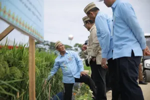 Mentan Sebut Produksi Beras Indonesia Peringkat Keempat Dunia Versi FAO