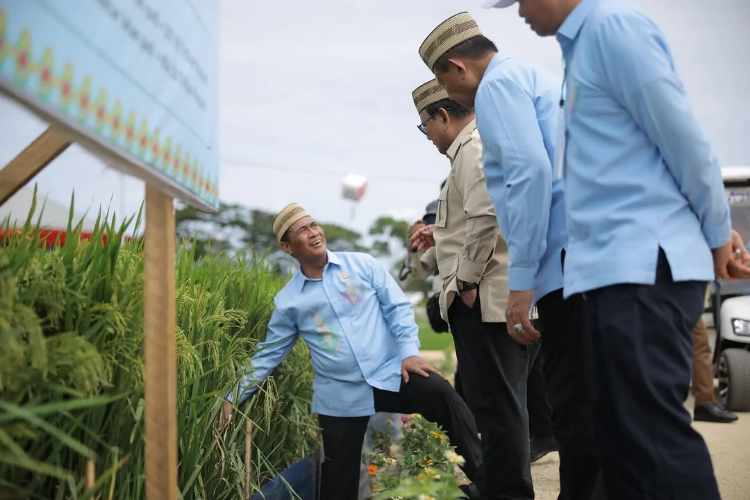 Mentan Sebut Produksi Beras Indonesia Peringkat Keempat D...