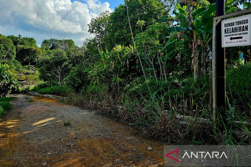 Bantu Ibu Hamil dari Pulau, Pemkab Natuna Sediakan Rumah ...