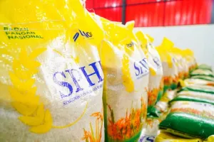 Bapanas Optimistis Stok Pangan Tetap Kuat Hadapi Kemarau