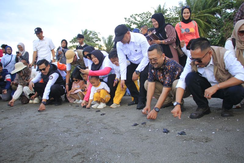 Festival Penyu Mampie Perkuat Pelestarian Lingkungan dan Daya Saing Wisata Bahari Daerah.