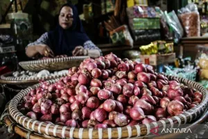 Harga Bawang Merah Rp50.950/Kg, Daging Ayam Rp37.200/Kg pada Minggu Pagi