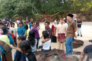 Mengembangkan Tradisi Taber...