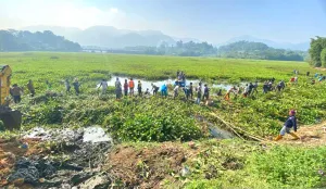 Bandung Barat Kerahkan 4 Ponton Bersihkan Eceng Gondok di Ciminyak