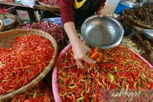 Harga Cabai Rawit Rp91.650/Kg, Telur Ayam Rp29.500/Kg di Senin pagi