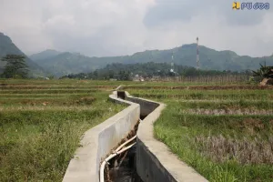 Lewat Inpres Irigasi, Kementerian PU Jamin Pasokan Air Lahan Pertanian Merata di Bogor