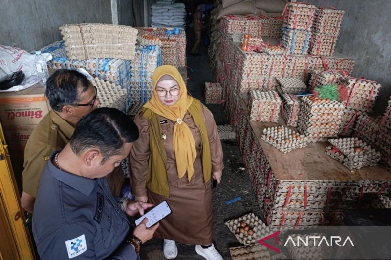 Peternak Ayam Petelur Menjerit, Harga Telur Merosot di Te...