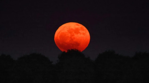 Strawberry Moon 2026 Muncul 29 Juni, Ini Asal-usul Nama dan Waktu Terbaik Melihatnya
