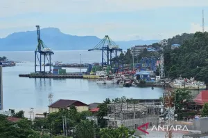 Bea Cukai Papua Raup Rp95,15 Miliar hingga Mei 2026, Capai 40,57 Persen Target APBN.