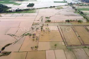 Fantastis! Belanja Iklim Pemerintah Tembus Rp73,5 Triliun Setiap Tahun, Mampukah Redam Ancaman Krisis Lingkungan?