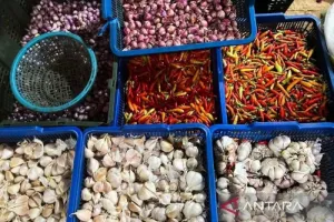 Harga Cabai Rawit Rp57.050/Kg, Telur Ayam Rp29.100/Kg di Selasa Pagi