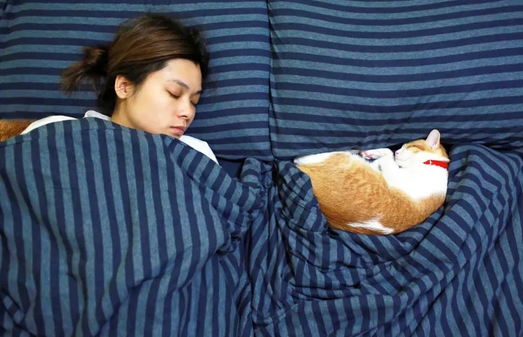 Tidur Bareng Hewan Pelihara...