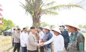 Kapolda Kalsel Canangkan Tanah Laut Jadi Sentra Jagung, Target Produksi 10 Ton per Hektare untuk Pasok Pakan Ternak