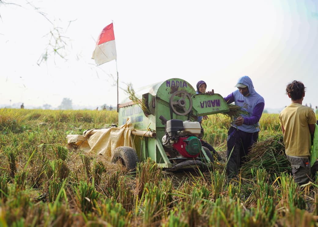 Papua Nugini Kena Dampak El Nino, Bapanas Minta Jangan Panik: Stok Beras RI 5,17 Juta Ton