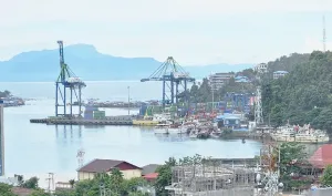 Realisasi Penerimaan Bea Cukai Papua Hingga Mei 2026 Tembus Rp95,15 Miliar