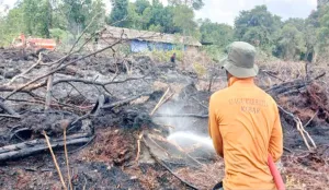 Tidak Ada Korban Jiwa Akibat Karhutla di Aceh, Jabar, dan Jateng