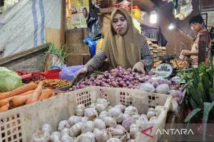 Disperindag Papua Fokus Perkuat Produksi Cabai Bawang dan Tomat