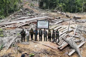 Kemenhut Kawal Eksekusi Gan...