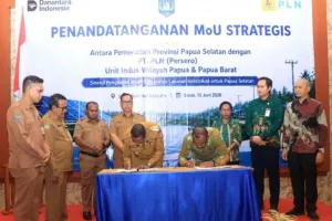 Papua Selatan Minta PLN Tin...
