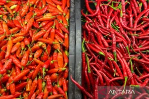 Harga Cabai Rawit Rp63.900/Kg, Telur Ayam Rp29.250/Kg pada Kamis Pagi