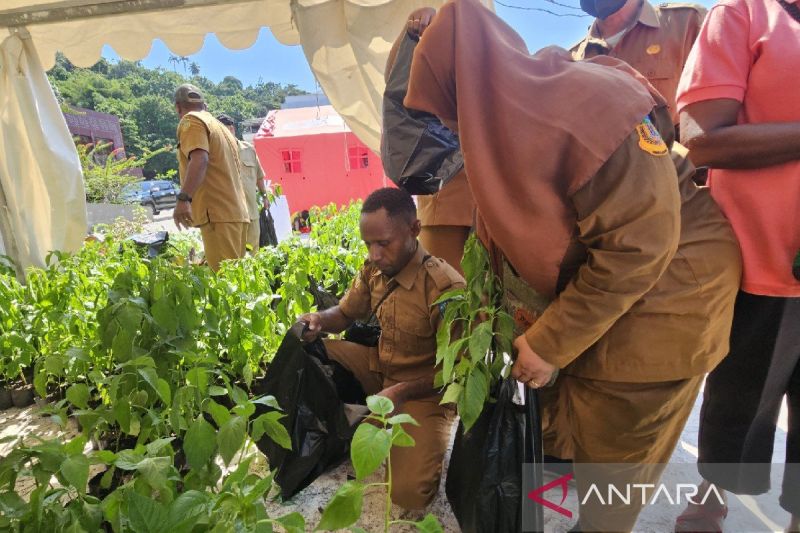 Hortikultura Dongkrak Nilai Tukar Petani Papua pada Juni 2026.