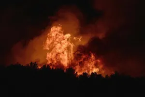 Kebakaran Hutan Besar Melanda Prancis Selatan Saat Eropa Diterjang Gelombang Panas 