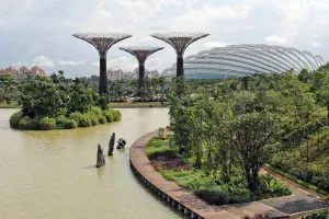 Pangkas Pohon Pakai Sains, Singapura Buktikan Diri Jadi Kota Tercanggih