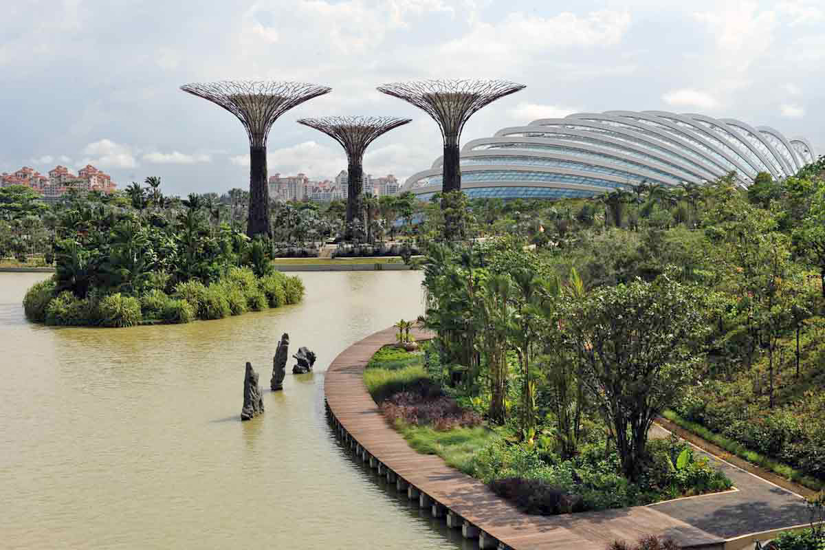 Pangkas Pohon Pakai Sains, Singapura Buktikan Diri Jadi K...