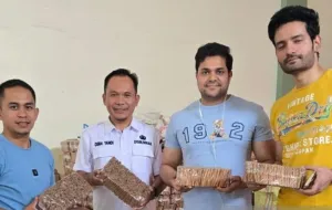 Pemkab Kerinci Perkuat Petani Kayu Manis, Bibit Berkualitas dan Pasar Ekspor Diperluas