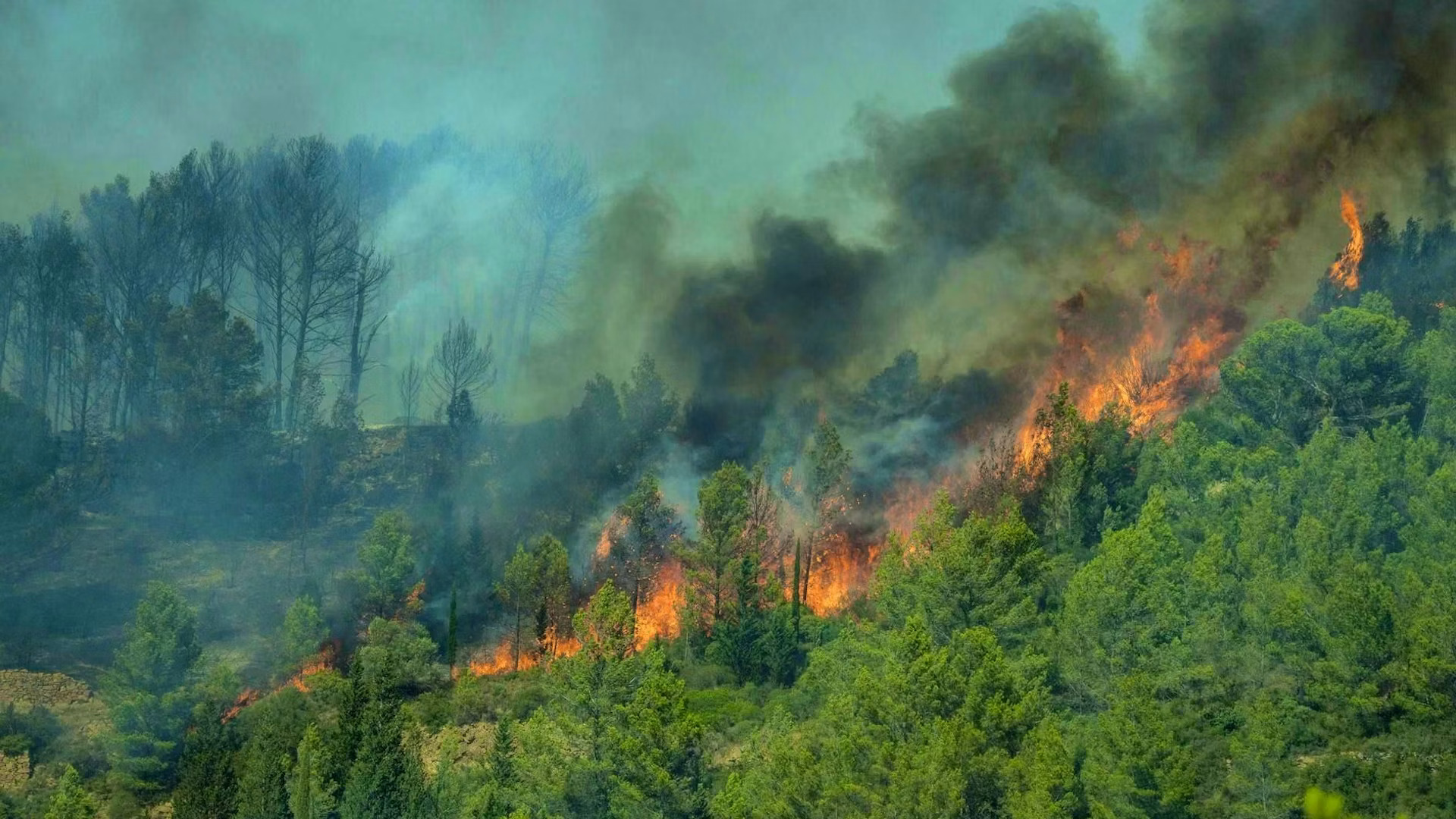 Prancis Diuji Gelombang Panas Ekstrem dan Kebakaran Hutan...