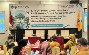 Indonesia Gandeng Jerman, Bank Dunia, dan Norwegia Percepat Rehabilitasi Mangrove