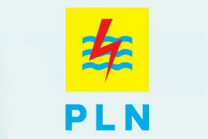 PLN Pastikan Tarif Tak Naik...