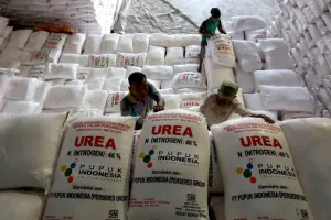 Realisasi Distribusi Pupuk Subsidi Capai 4,77 Juta Ton