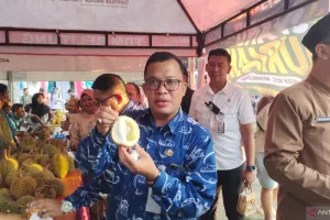 Bukan Cuma Pantainya, Bazar Durian Belitung Expo 2026 Juga Bikin Wisatawan Berdatangan