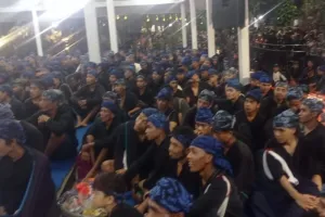 Di Balik Panen Melimpah Bad...