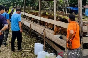 Integrasi Pertanian dan Peternakan di Kukar Bantu Warga Lestarikan Hutan