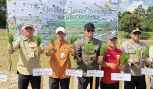 Kementan Percepat Peningkatan Produksi Pangan