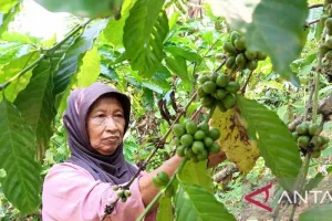 Merawat Lahan, Menjaga Satw...